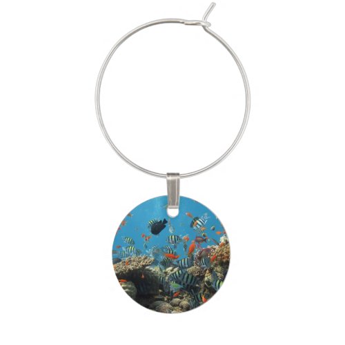 Tropical Fish Chaos Wine Glass Charm