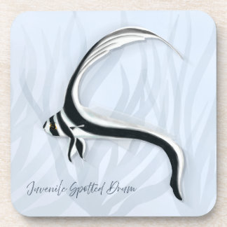 Tropical Fish Coasters