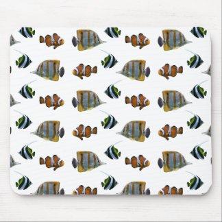 Tropical Fish Frenzy Mousemat (choose colour) Mouse Pad