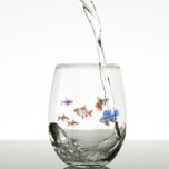 Tropical Fish Funny Cute Aquarium  Stemless Wine Glass<br><div class="desc">This design was created though digital art. It may be personalized in the area provide or customizing by choosing the click to customize further option and changing the name, initials or words. You may also change the text color and style or delete the text for an image only design. Contact...</div>