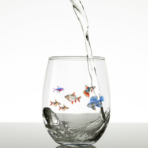 Tropical Fish Funny Cute Aquarium  Stemless Wine Glass