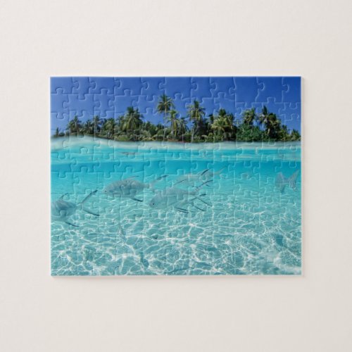 Tropical Fish Game Puzzle