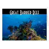 Tropical Fish Great Barrier Reef Coral Sea (Front Horizontal)