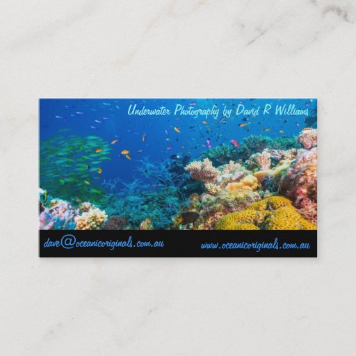 Customizable Oceanic Originals Business Card Template