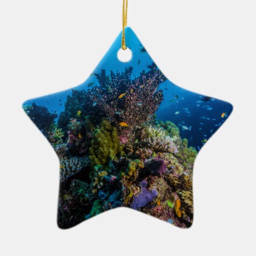 Tropical Fish Great Barrier Reef Coral Sea Ceramic Ornament
