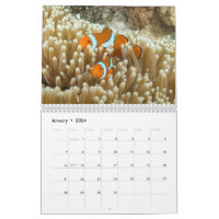 Fishing Calendar Great Barrier Reef