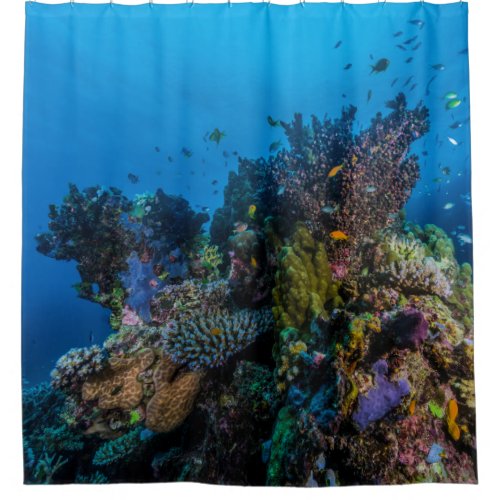 Tropical Fish Great Barrier Reef Coral Sea Gift Shower Curtain