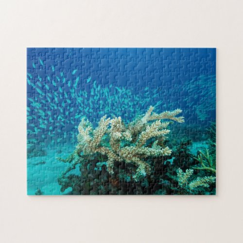 Tropical Fish Great Barrier Reef Coral Sea Jigsaw Puzzle