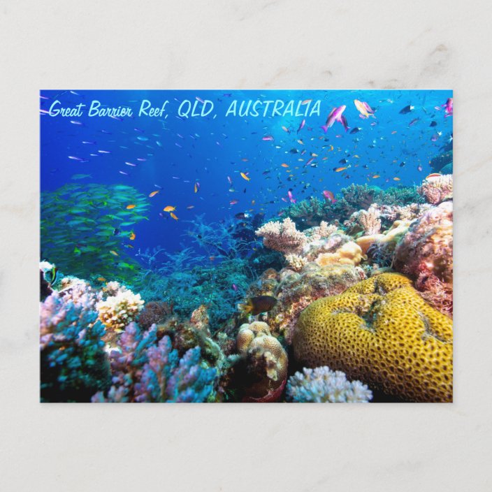 Tropical Fish Great Barrier Reef Coral Sea Postcard | Zazzle.com