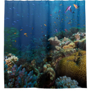 Tropical Fish Great Barrier Reef Coral Sea Shower Curtain