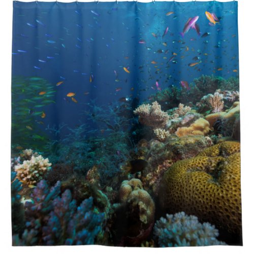Tropical Fish Great Barrier Reef Coral Sea Shower Curtain