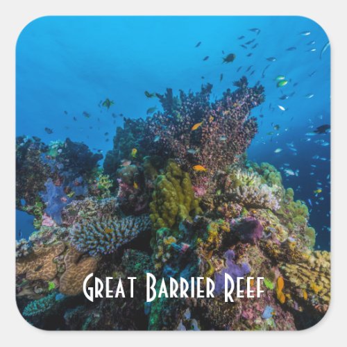 Tropical Fish Great Barrier Reef Coral Sea Square Sticker