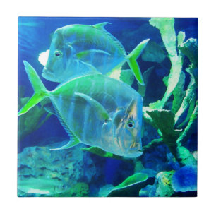 Tropical Fish in Blue Ceramic Tile