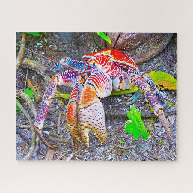 Tropical Fish Jigsaw Puzzle (Horizontal)