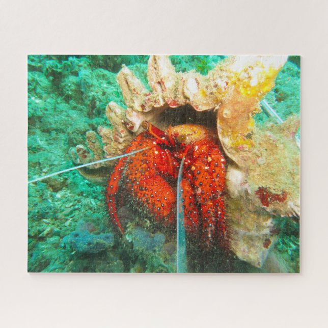 Tropical Fish Jigsaw Puzzle (Horizontal)
