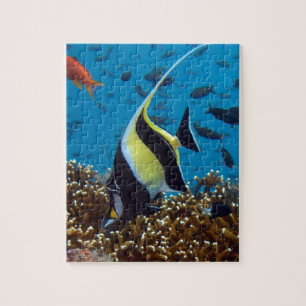 Tropical fish  jigsaw puzzle