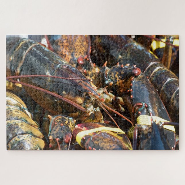 Tropical Fish Jigsaw Puzzle (Horizontal)