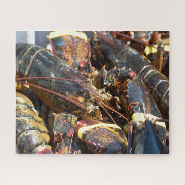 Tropical Fish Jigsaw Puzzle (Horizontal)