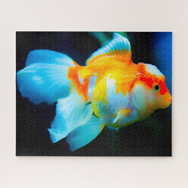 Tropical Fish Jigsaw Puzzle (Horizontal)
