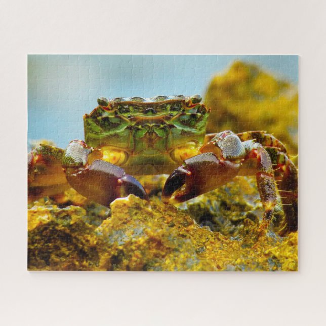 Tropical Fish Jigsaw Puzzle (Horizontal)