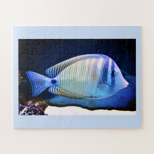 Tropical fish jigsaw puzzle (Horizontal)