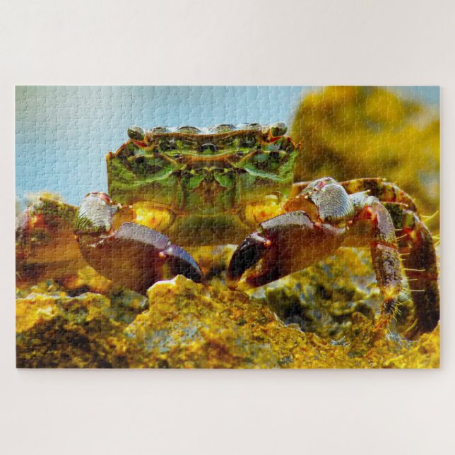 Tropical Fish Jigsaw Puzzle (Horizontal)