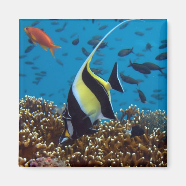 Tropical fish Magnet (Front)