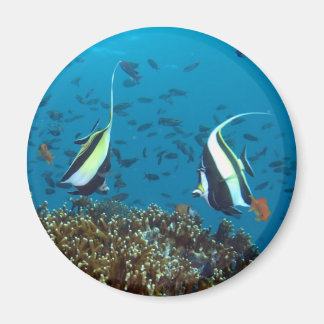 Tropical Fish Magnet