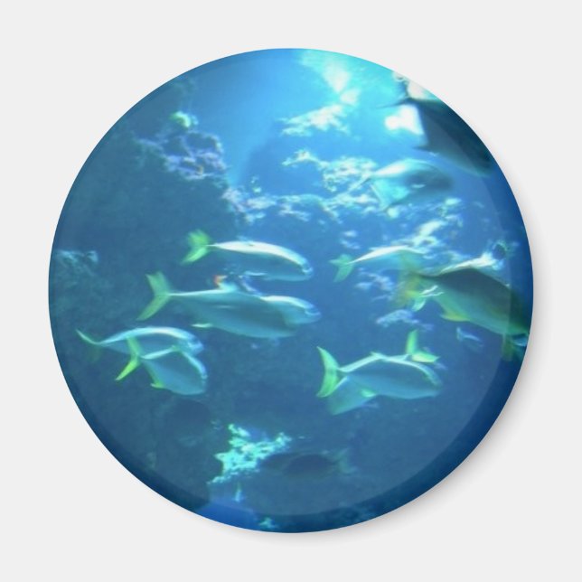 Tropical Fish Magnet (Front)