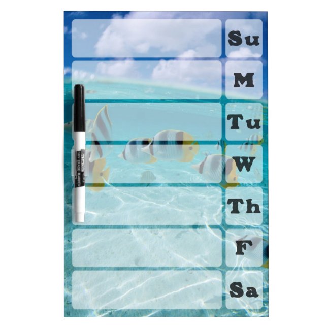 Tropical Fish Menu Board (Front)