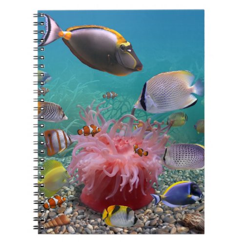 Tropical Fish Notebook