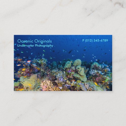 Tropical Fish of the Coral Sea Business Card