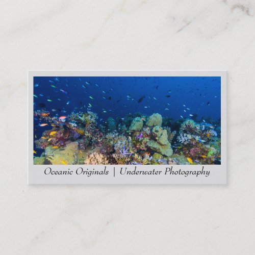 Tropical Fish on a Coral Reef Business Card