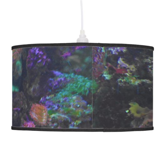 Tropical Fish Pendant Lamp (Back)