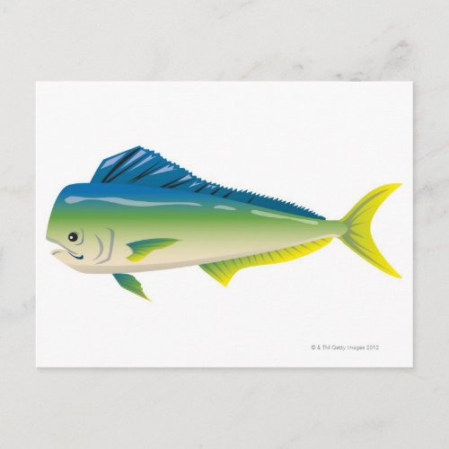 Tropical Fish Postcard