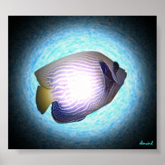 Tropical Fish Poster