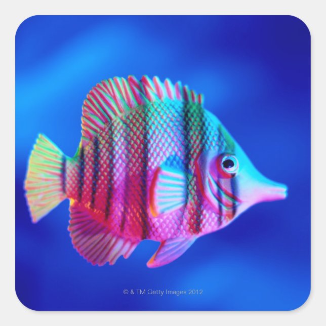 Tropical Fish Square Sticker (Front)