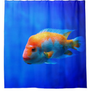 Tropical Fish Striking Blue Underwater Portrait Shower Curtain