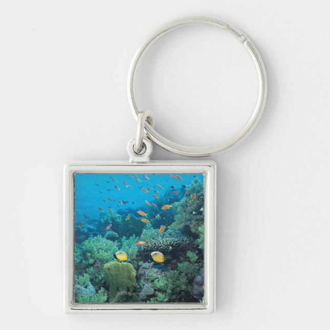 Tropical fish swimming over reef keychain (Front)