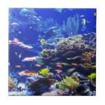 Tropical Fish Tile<br><div class="desc">A multitude of brightly colored fish dart in and out of the reefs.</div>