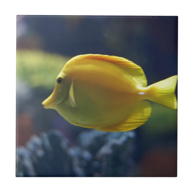 tropical fish tile (Front)