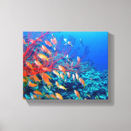 Tropical Fish Undersea Coral Reef Canvas Print