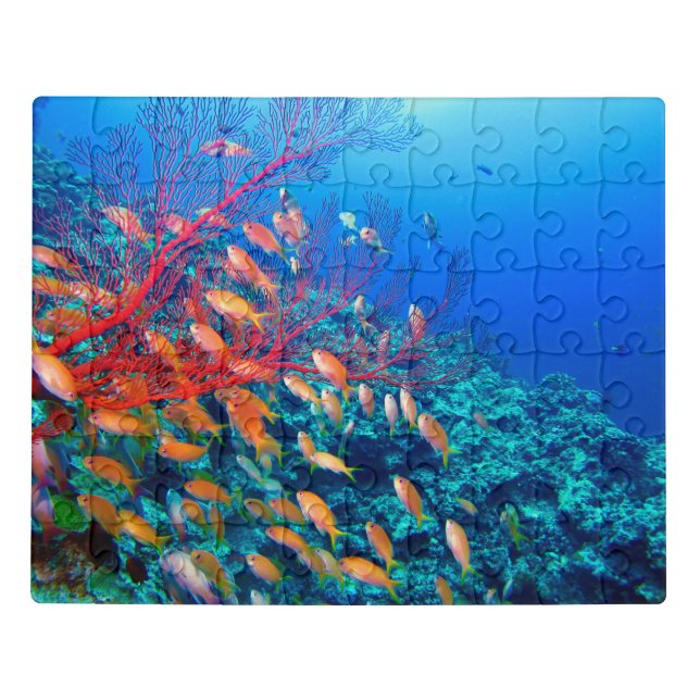 Tropical Fish Undersea Coral Reef Jigsaw Puzzle (Puzzle Horizontal)