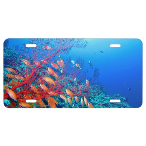 Tropical Fish Undersea Coral Reef License Plate