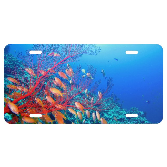 Tropical Fish Undersea Coral Reef License Plate (Front)