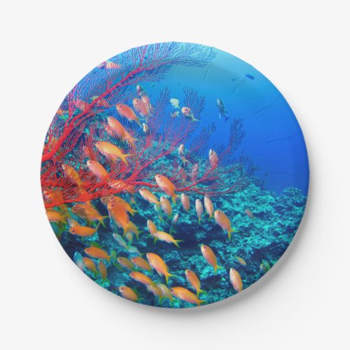 Tropical Fish Undersea Coral Reef Paper Plates