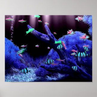 Tropical fishes poster