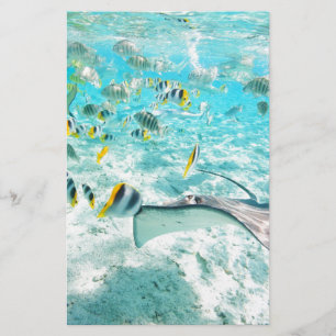Tropical fishes stationery