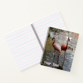 Tropical Flamingo Birds Cust. Text Notebook by Edelhertdesigntravel at Zazzle