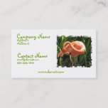 Tropical Flamingo Business Card